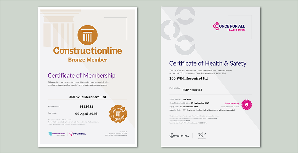 Constructionline Bronze and SSIP DTS Health & Safety Certificates